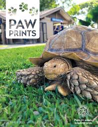 View dee hunter's profile on linkedin, the world's largest professional community. Paw Prints By Hawaiian Humane Summer 2021 By Hawaiian Humane Issuu