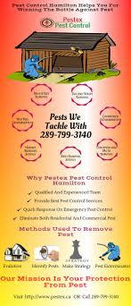 Check out these 6 best pest control companies in hamilton that. Pest Control Hamilton Helps You For Removing Pest Visual Ly