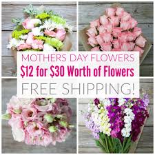 Mother's day flowers deals free delivery. Mothers Day Flowers Delivered Free Design Corral