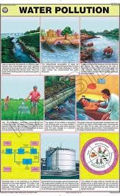 Water Pollution For Man Environment Chart