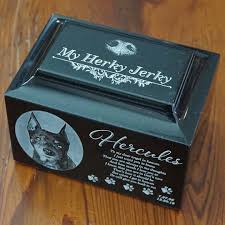 Hillarie levy is fighting to change that. Small Pet Cremation Urn Laser Engraved Pet Urn Custom Photo Etsy Pet Cremation Urns Pet Urns Cat Urns