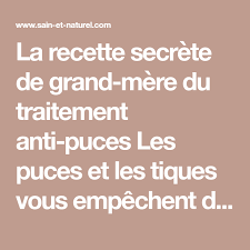 La Recette Anti Puces Naturel De Grand Mere Anti Puce Traitement Anti Puce Anti Puces Naturel