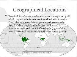 Banana trees, ferns, and palm. Tropical Rain Forest M4bnriie0bk The Tropical Rainforest Rap Ppt Download