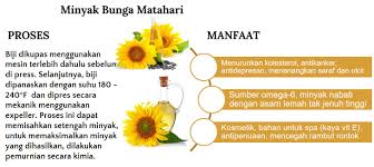 Bunga tumbuhan ini sangat khas: Struktur Kimia Minyak Biji Bunga Matahari