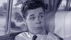 Leave It to Beaver (TV Series 1957-1963) — The Movie Database (TMDB)