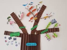 Canlilarin Siniflandirilmasi 5 Sinif Fen 5 Sinif Baslangic Sesleri