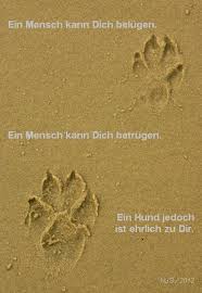 Menschen Lugen Betrugen Ein Hund Ist Ehrlich Zu Dir People Lie And Cheat A Dog Is Honest To You Hundespruche Hund Zitat Hundeliebe