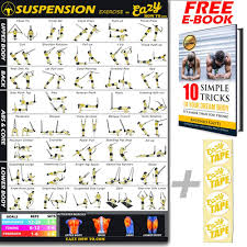 Eazy How To Suspension Cables Exercise Workout Poster Big 51 X 73cm Train Endurance Tone Build Strength Muscle Home Gym Chart