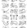 Printable insect coloring pages for adults. 1