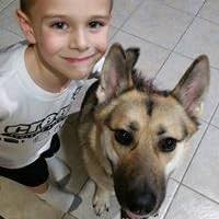 Dio's Rome, Volume 5, Books 61-76 (A.D. 54-211) An Historical Narrative  Originally Composed in Greek During The Reigns of Septimius Severus, Geta  and Caracalla, ... in English Form By Herbert Baldwin Foster