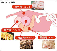 牛肉 消化 悪い