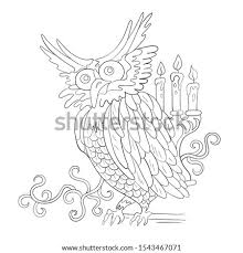 In this section, find a large selection of coloring pages boar. Nocturnal Animals Coloring Pages At Getdrawings Free Download