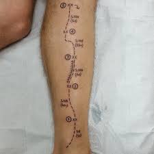 The 8 best laptop stands for all situations august 1, 2021 / entertainment. Hedonistic Hot Mess Rock Climbing In 5 Steps Tattoo By Rian