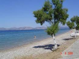 Yπό μερικό έλεγχο τέθηκε η πυρκαγιά στην περιοχή του βαρνάβα αττικής που ξέσπασε στις 11 το πρωί. Paralia Barnaba Skalwma Mapio Net