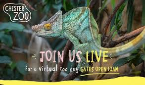 St James Academy Chester Zoo Virtual Tour