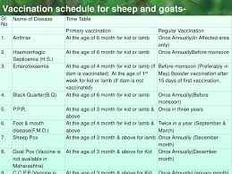 Goat Care And Management Irshad