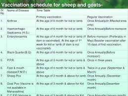 goat care and management irshad