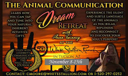 Animal Communication Dream Retreat