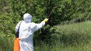 Management means a complete set of activities that support each other. Right Crop Protection Methods Are Key To Integrated Pest Management Agriculture Post