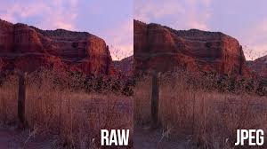 Image result for raw camera