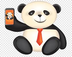 Giant Panda Red Panda Bear Cartoon Cute Red Panda Animals Animal Png Pngegg We visited a panda research center in chengdu, china, where i got groped by a giant panda. giant panda red panda bear cartoon