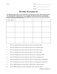 Students will use their dihybrid crosses lecture notes as a reference to complete the dihybrid cross practice worksheet. Heredity Worksheet Dihybrid Cross Worksheet For 9th 12th Grade Lesson Planet