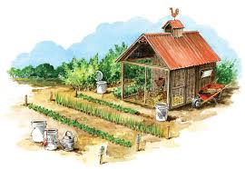 How to mix fertilizers for foliar feeding. Free Homemade Liquid Fertilizers Mother Earth News