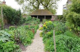 Gardening 101 Spurges Gardenista Dream Backyard Garden Visits Patio And Garden