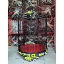 Jual beli online aman dan nyaman hanya di tokopedia. Sangkar Murai Bnr 3d Racing Shopee Indonesia