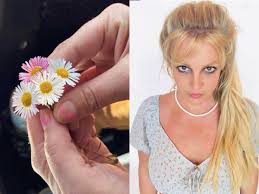 The singer uploaded a video yesterday in which she called out everyone who said she didn't post her own content. Britney Spears Flower Pic Only Adds To Theory Her Ig Is A Cry For Help