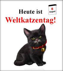 Während wir so ganz unschuldig durch die gegend bummelten erspähten meine augen die terrorhyäne schlechthin, meine ex. Facebook