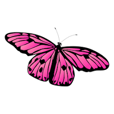 Detailed Pink Butterfly Vector Butterfly Butterflies Vector Pink Butterfly Butterfly Logo