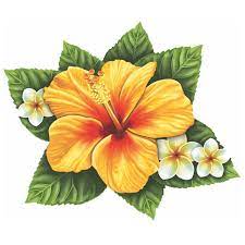 Single Hibiscus Flower Yellow Pool Mosaic Flower Drawing Hibiscus Flower Tattoos Hawaiian Flower Tattoos