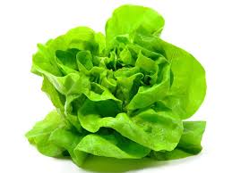 Pass up any brown or wilted leaves or slimy bases. 18 Best Lettuce Leaves Benefits For Skin Hair Health