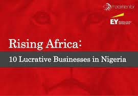 Rising Africa 10 Lucrative Businesses In Nigeria How To Memorize Things Mentor Entrepreneur