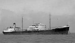 Image result for Galeomma