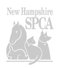 Dogs of all ages and sizes. Adopt A Dog Or Puppy New Hampshire Spca