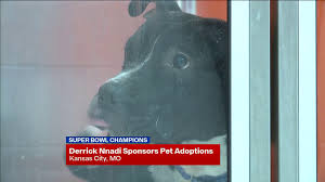 My adoption fee is $350. Inspired By Derrick Nnadi Rachael Ray Donates Year Supply Of Food To Dogs Adopted From Kc Pet Project Fox 4 Kansas City Wdaf Tv News Weather Sports