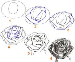 How To Draw A Rose Draw Step By Step Roses Drawing Flower Drawing Drawings Another free still life for beginners step by step drawing video tutorial.
