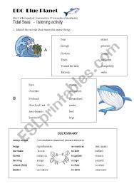 Listening Bbc Blue Planet Oceans And Sea Life Esl Worksheet By Sclail