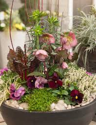 Edible herbs, fruits, and flowers would make the shortlist. Using Vegetables Herbs In Your Container Gardens Garden Tips West Coast Gardens