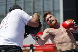 See the best jokes & images of saul alvarez. Canelo Out To Crown Career That Began At 15 Against Ggg Daily Mail Online