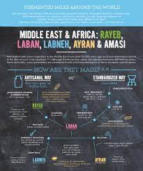 What Are Rayeb Laban Labneh Ayran Amasi Yogurt In Nutrition