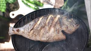 Grilling At Home Griled Sea Bream Fish Using My 6 Year Old Smokeless Portable Biolite Camp Stove Youtube Cooking Seafood Camping Stove Grilling