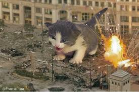 15 Hilarious Photos Showing What Life Would Be Like If Giant Cats Lived Among Us Giant Cat Cats Cat Having Kittens