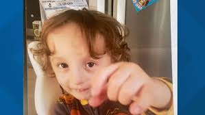 The 4-year-old boy who went missing in Welaka Thursday did not survive  after he wandered into water near his home. Mason Newstead was autistic and  nonverbal. The sheriff's office said his mother