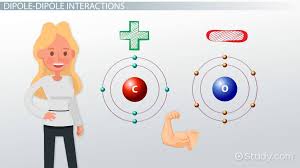 This might be very stressing due to inadequate time to do a thorough research to come up with a quality paper. Effect Of Intermolecular Forces On Physical Properties Video Lesson Transcript Study Com