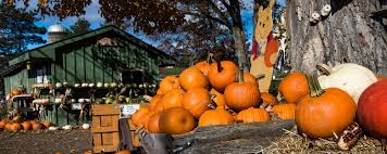 Maybe you would like to learn more about one of these? New York Pumpkin Patches New York State Tourism