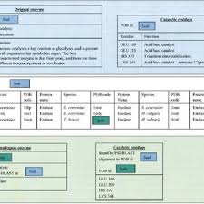 En means inside and zyme, which means yeast i.e., the word enzyme means inside yeast. Schematic Description Of Csa Database The Blue Block Demonstrates The Download Scientific Diagram