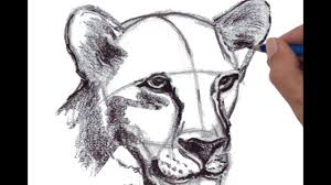 How To Draw Female Lion Head Perspective View Youtube Human torso abdomen appearance arm beauty body drawing fashion fashionable females foot front gender graphic hair head illustration leg medical medicine model outline pattern people scale science shoulder side silhouette template vector view women. how to draw female lion head perspective view